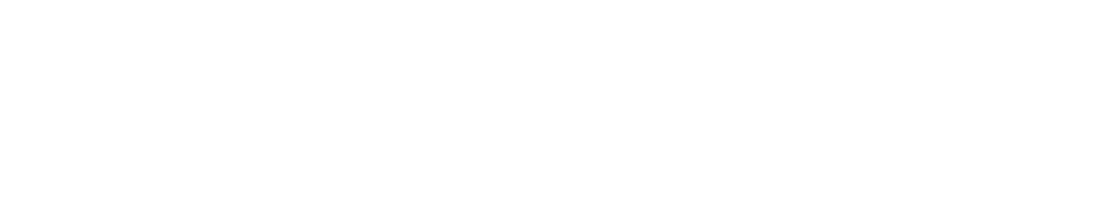 EDITABLE 300X160 OK